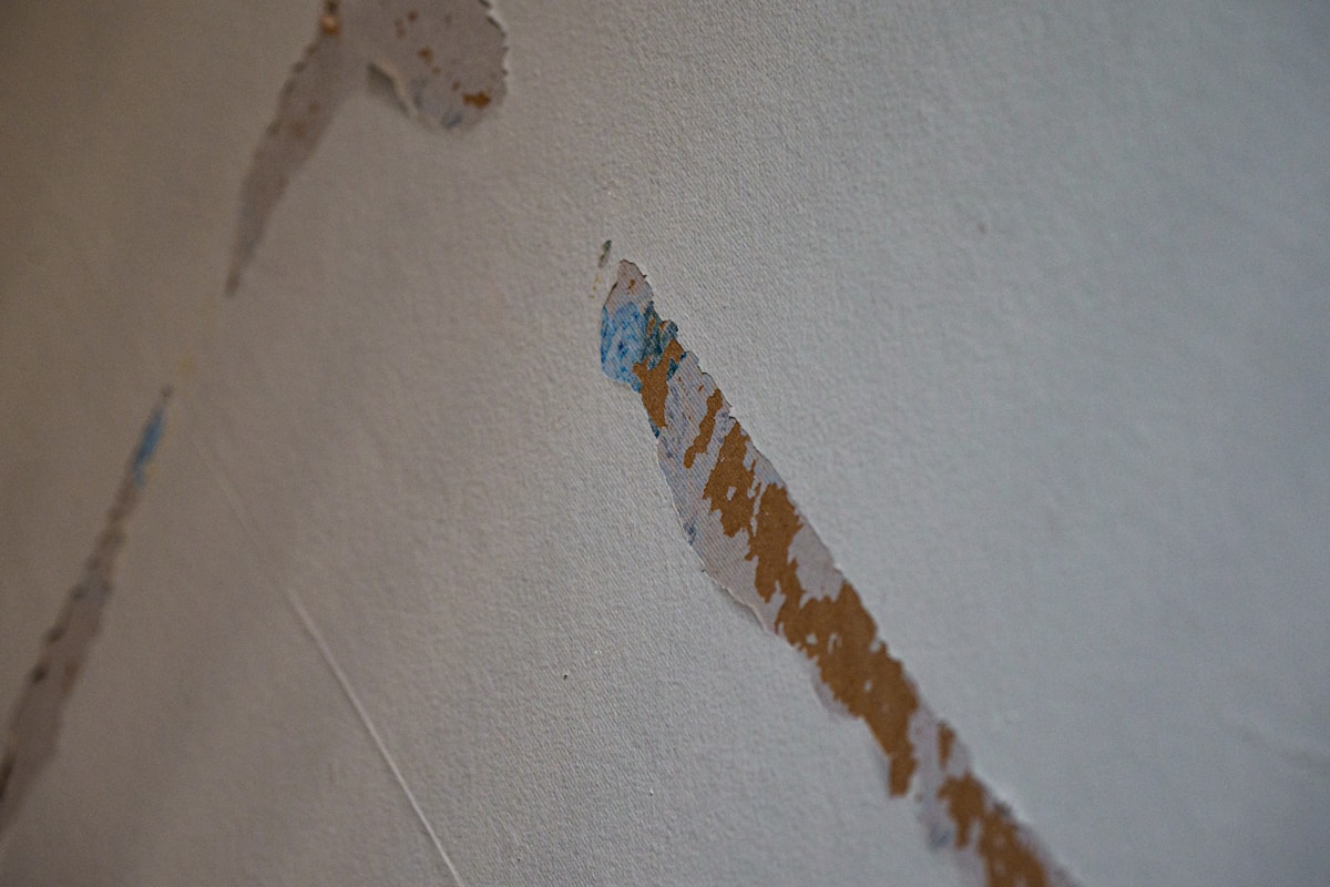 Water Extraction service in Alhambra, CA